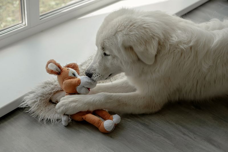 Favorite Toys