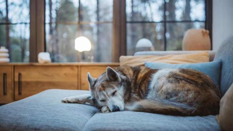 Lethargy