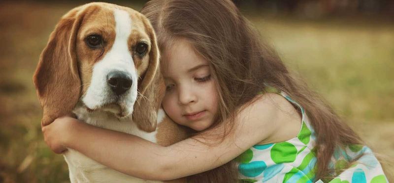 Comfort in Grief