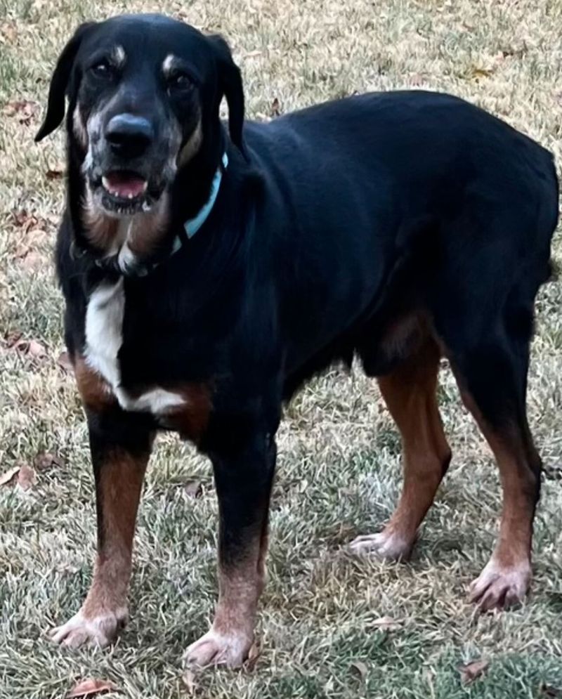 Max