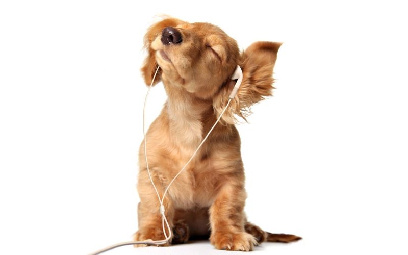 Listening to Music