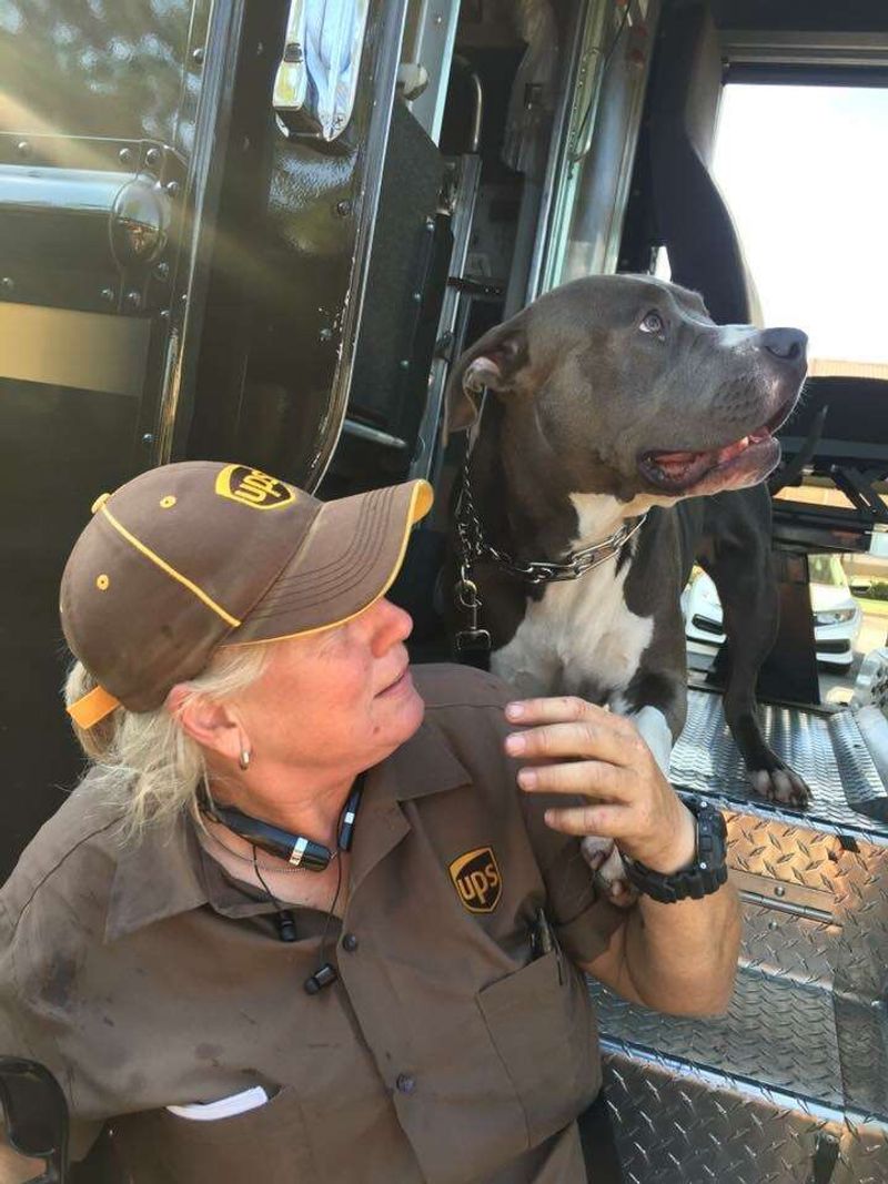 Loyal Companions