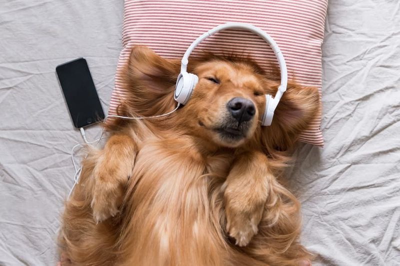 Soothing Music
