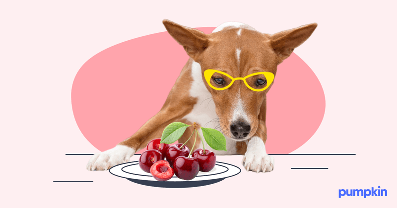 Cherries