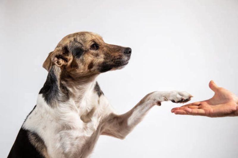 Friendly Gestures