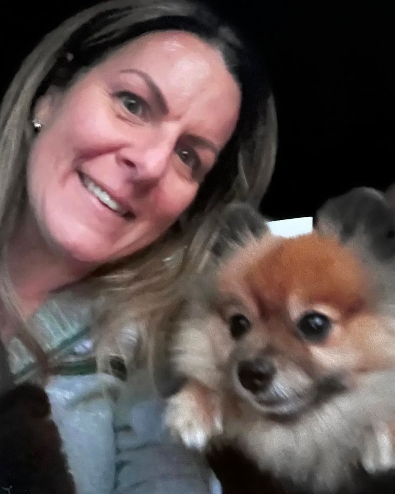 Pomeranian