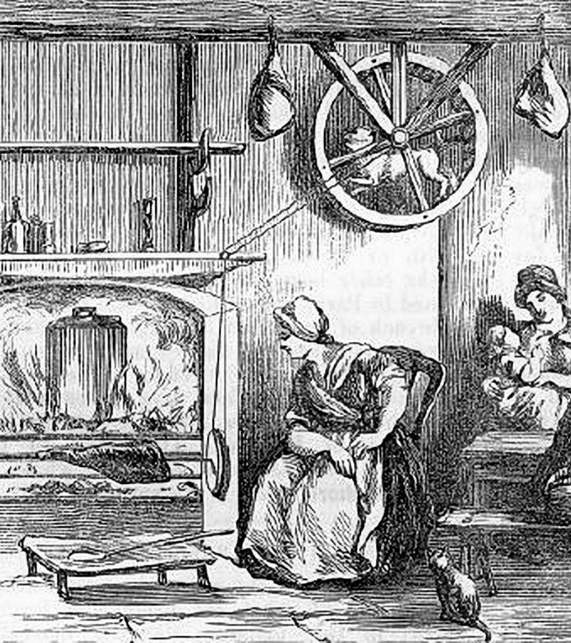 Turnspit Dog