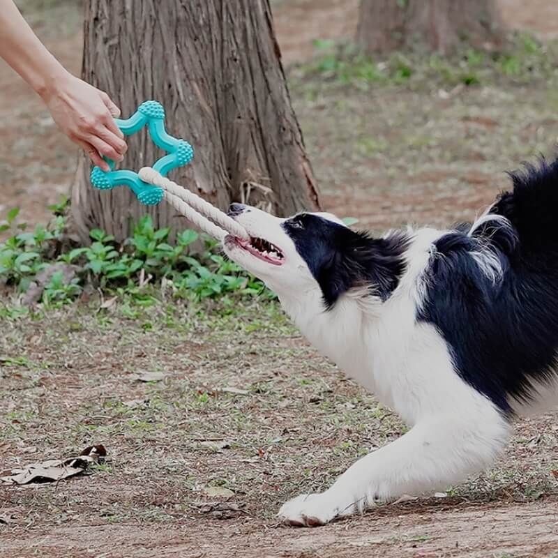 Interactive Playtime