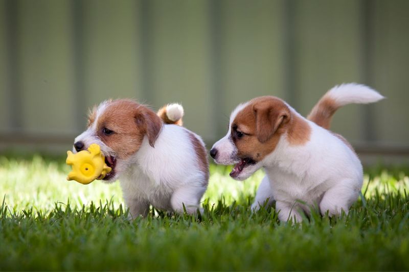 Playdates with Friends
