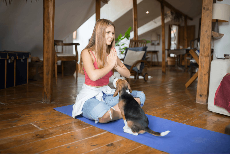 Pet-Friendly Yoga