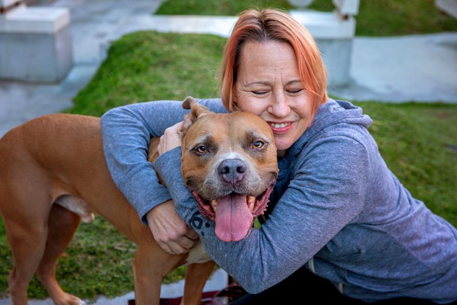 Myth 2: All Pit Bulls Are Aggressive