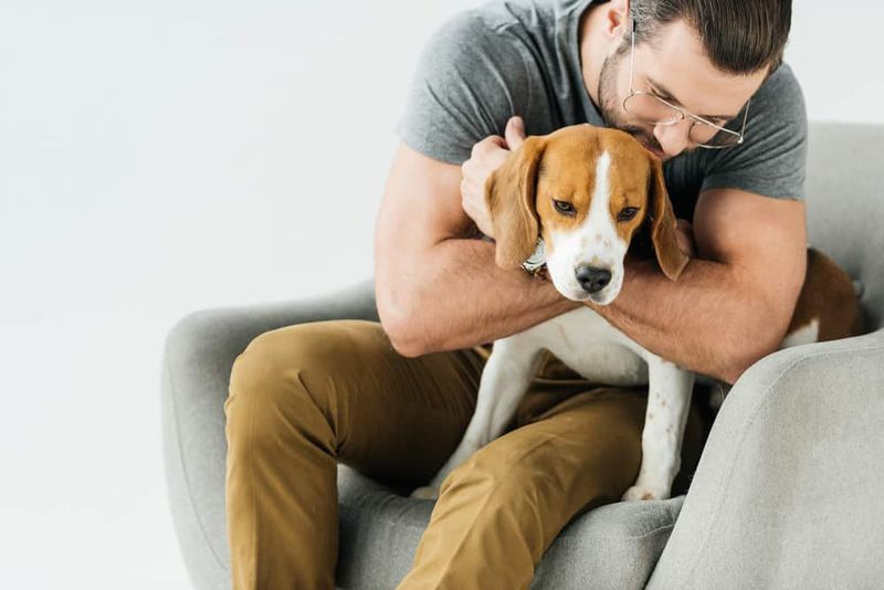 Myth 13: Dogs Love Hugging