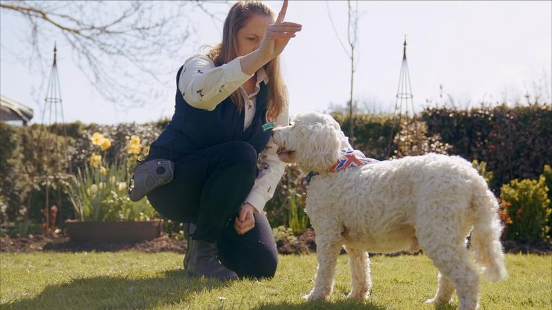 Myth 3: Old Dogs Can't Learn New Tricks