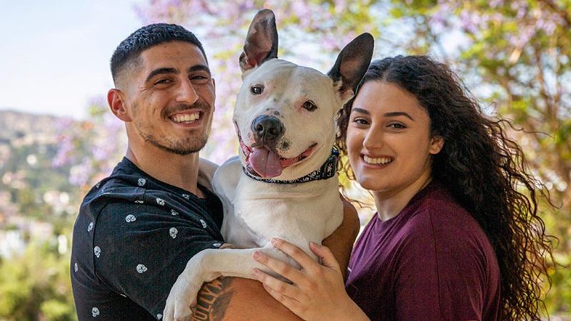 Myth 3: Pit Bulls Are Not Good Family Dogs