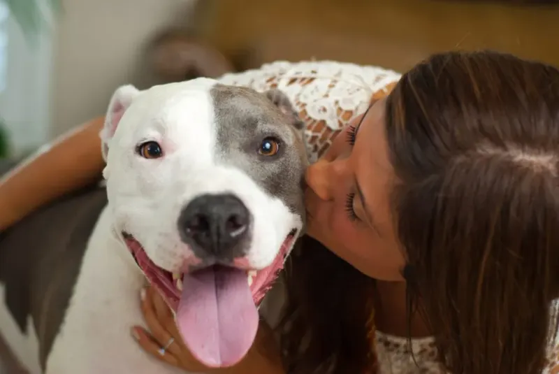Myth 6: Pit Bulls Are Unpredictable