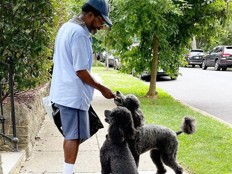 Myth 8: Dogs Hate Mail Carriers