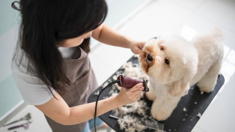 Grooming Routine