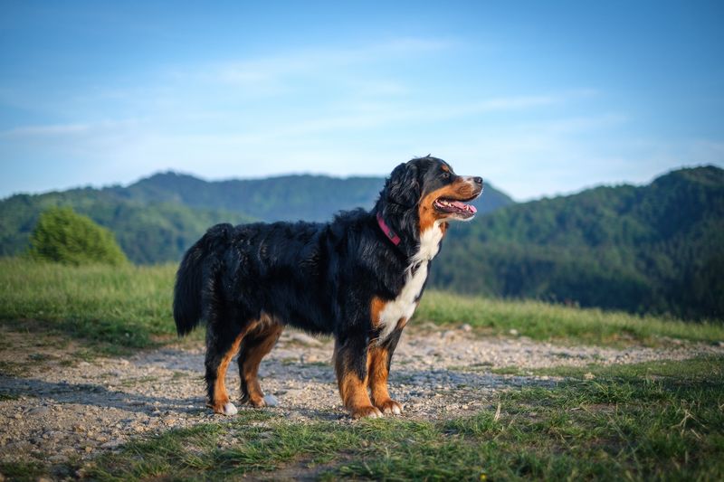 Loves the Outdoors