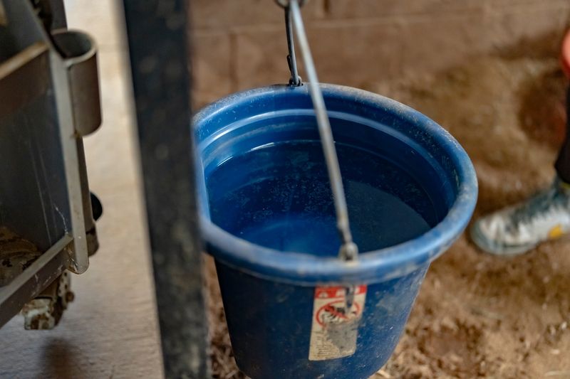 Leave Without Providing Water