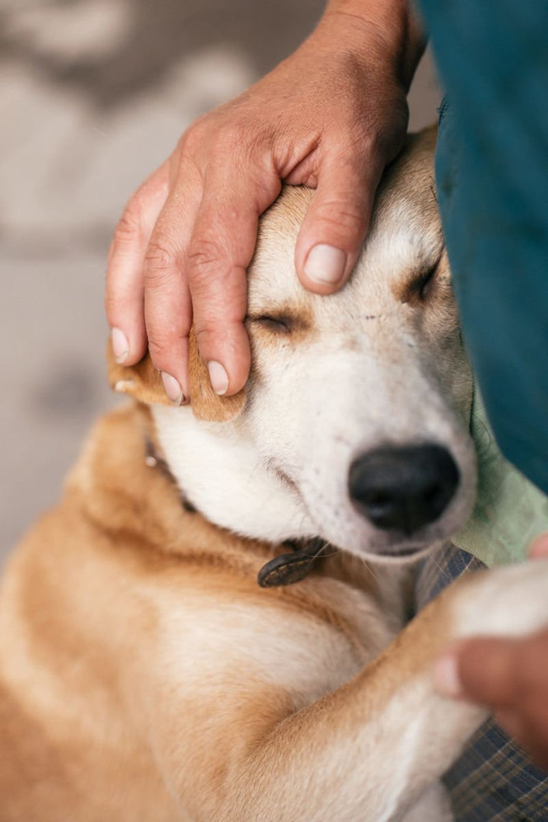 Tender Affection