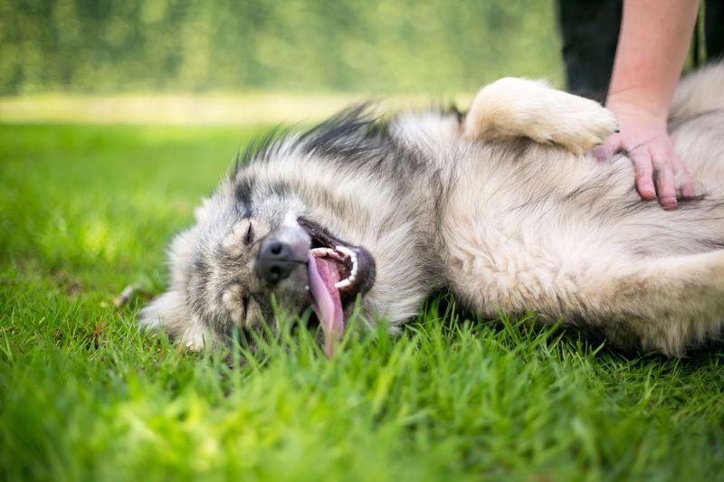Rolling Over