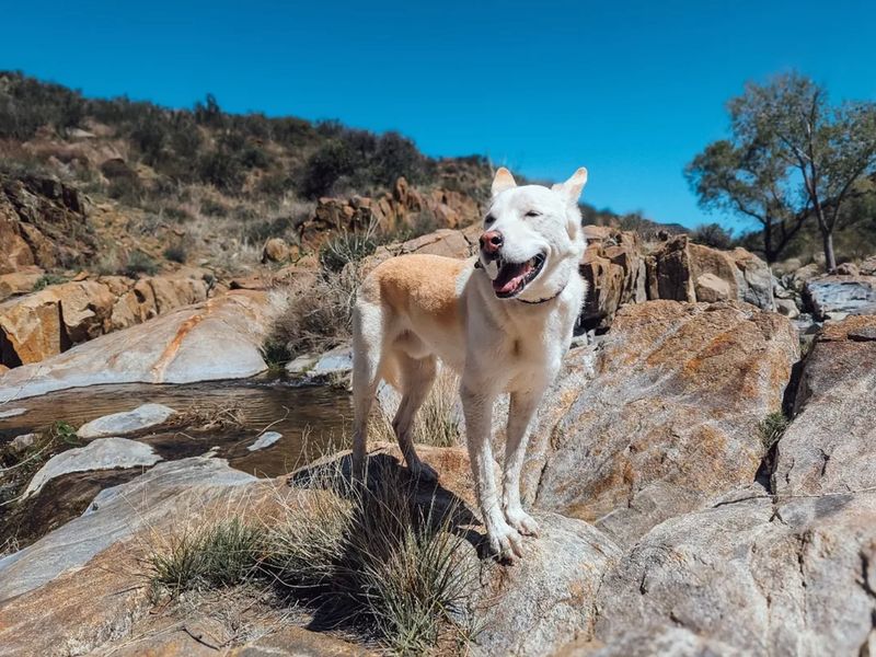 Gentle Hiking