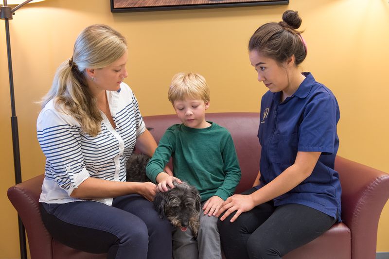 Veterinary Collaboration