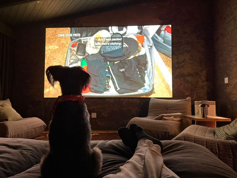 Movie Nights