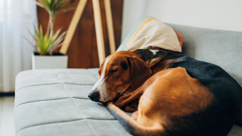 Create a Calm Environment