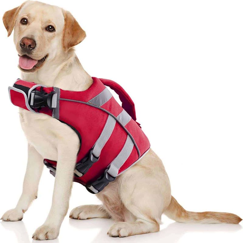 Prepare Emergency Contacts