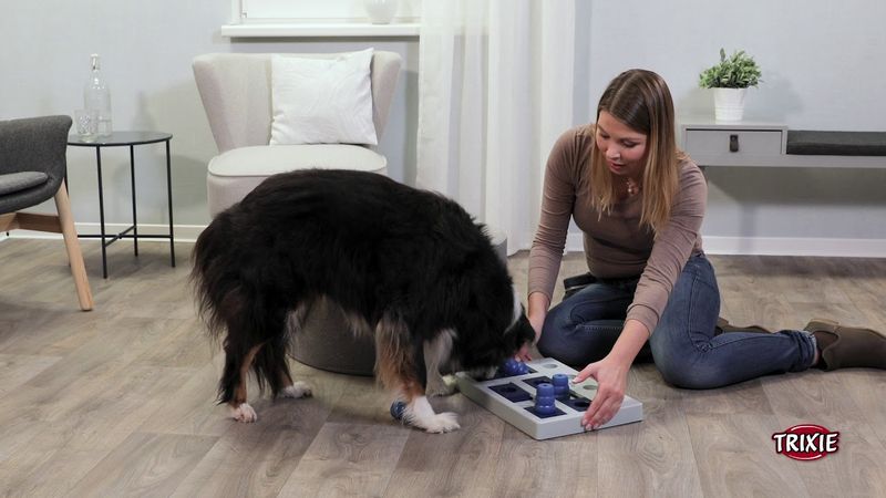 Trixie Dog Activity Chess