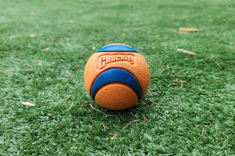 Chuckit! Ultra Ball