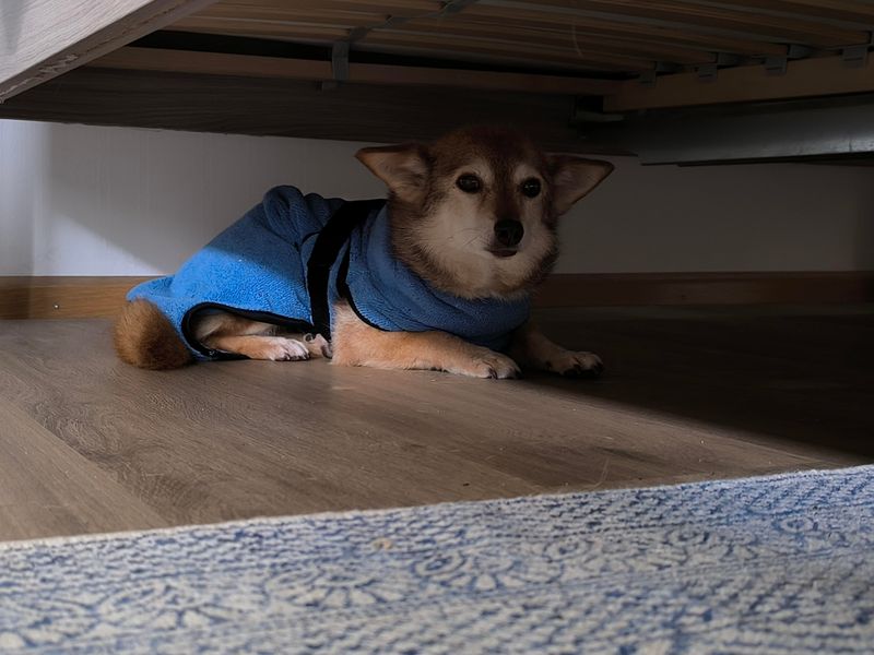 Hiding in Unusual Places