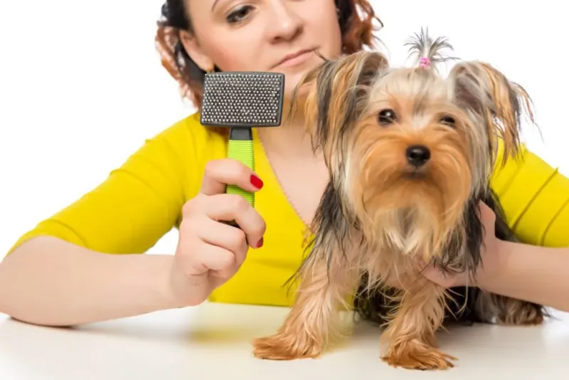 Rough Brushing