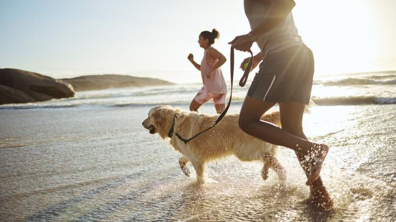 Lack of Physical Exercise