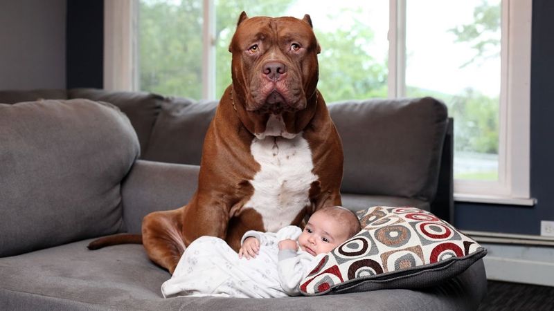 Protective Instincts
