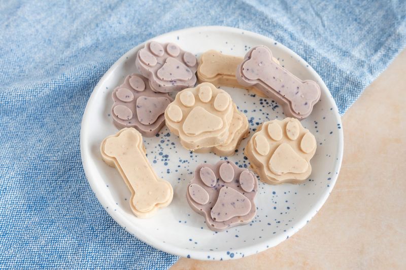 Frozen Dog Treats