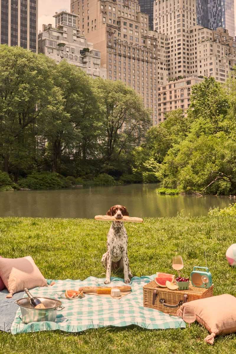 Picnic in the Park