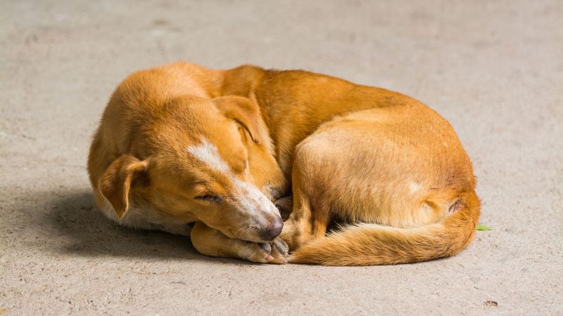 Curled Up in Sadness