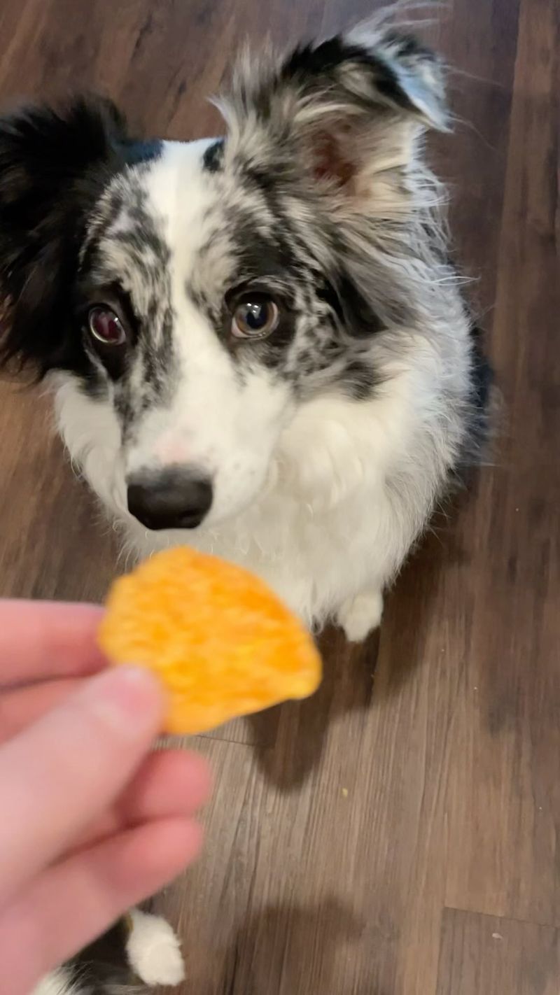 Sweet Potato Chews