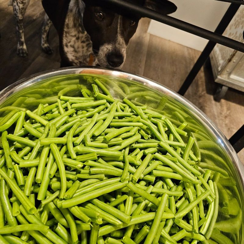 Green Beans