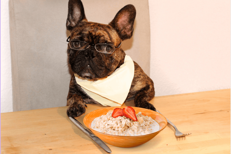 Oatmeal