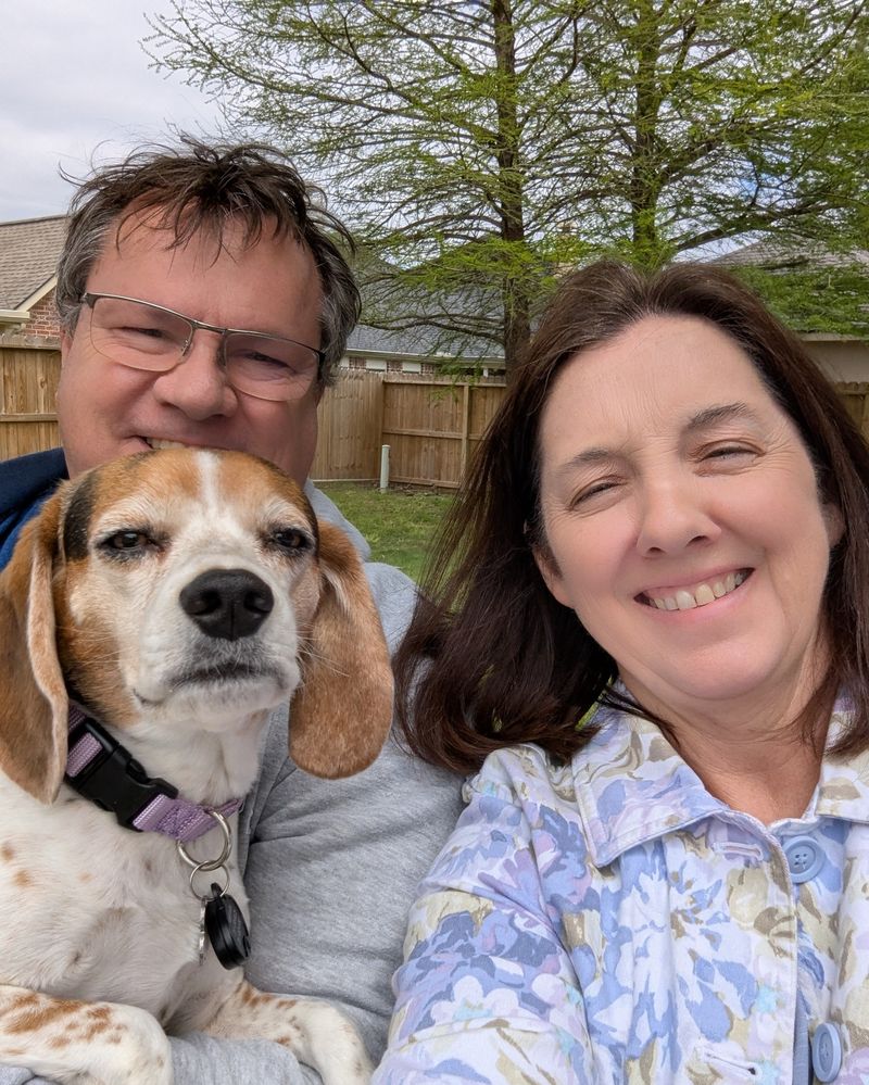 Beagle