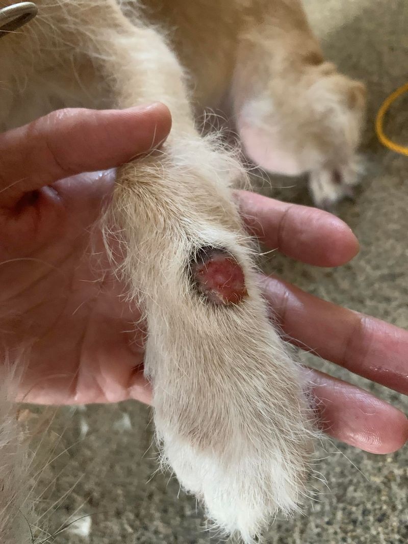 Sores That Do Not Heal