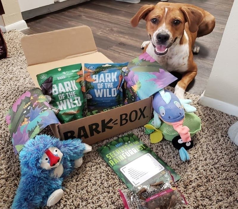 BarkBox Subscription Box