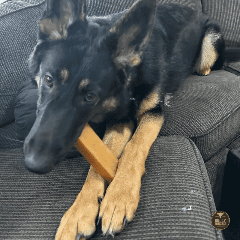 Himalayan Dog Chew