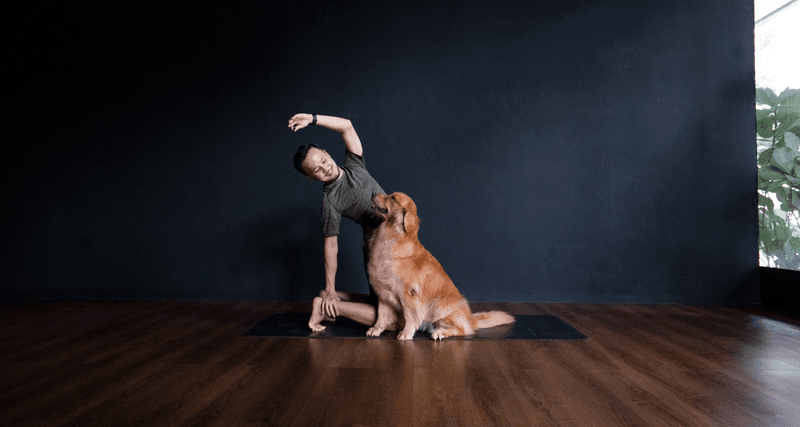 Dog Yoga (Doga)
