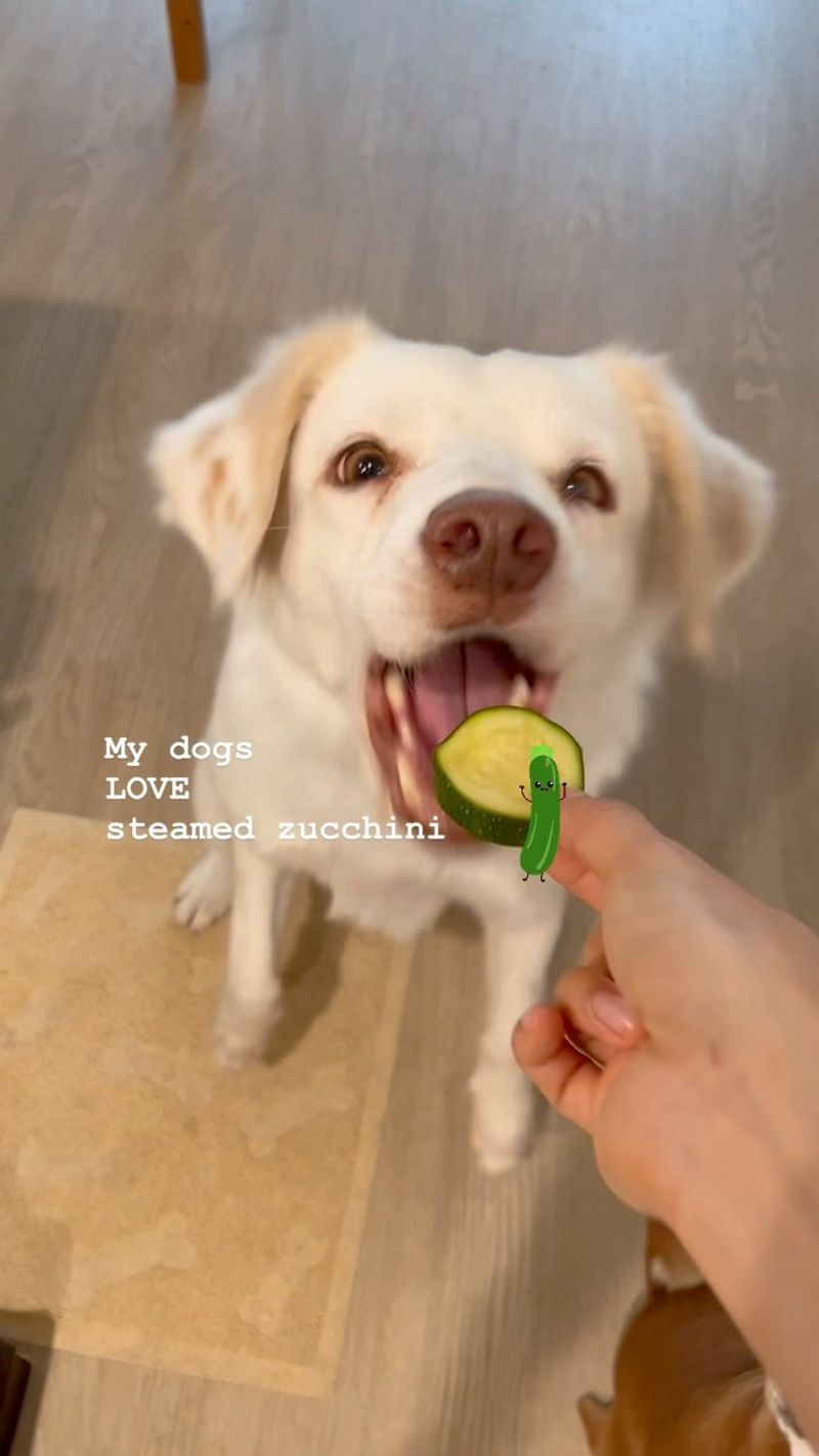 Zucchini