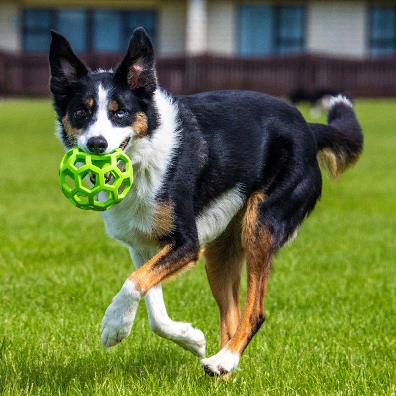 Balls with Holes