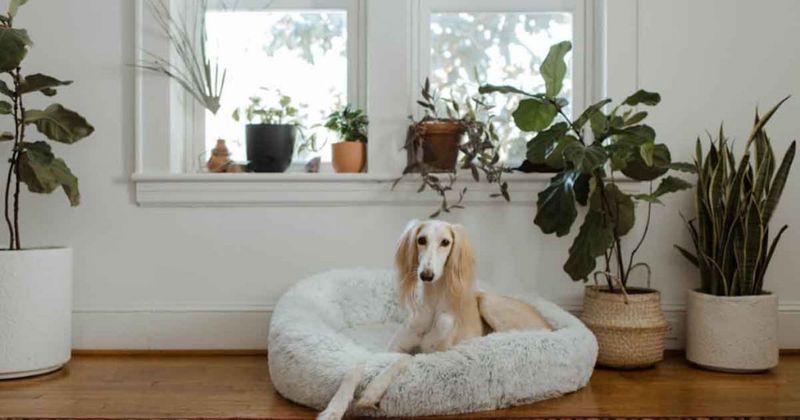 Create a Cozy Space